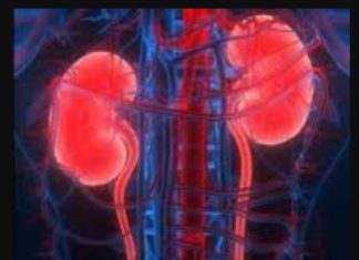 KADA SA BUBREZIMA NEŠTO NIJE U REDU, TELO ŠALJE OVE SIGNALE: 6 simptoma koje ne smete ignorisati!