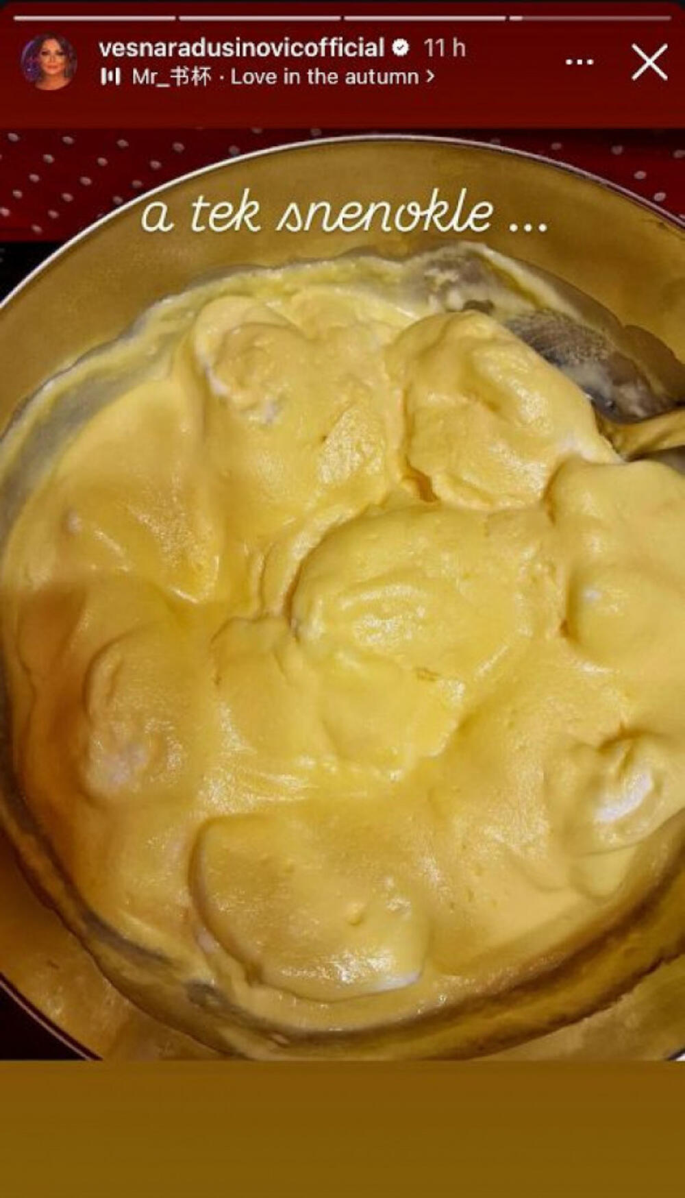 365445_148752-vesnaradusinovicinstagram1-iff_ff