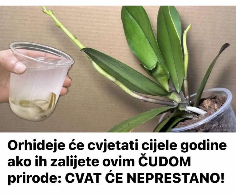 NAJNOVIJI TRENDOVI ZA 2017 GODINU – arhitektura koja će svakoga oduševiti!