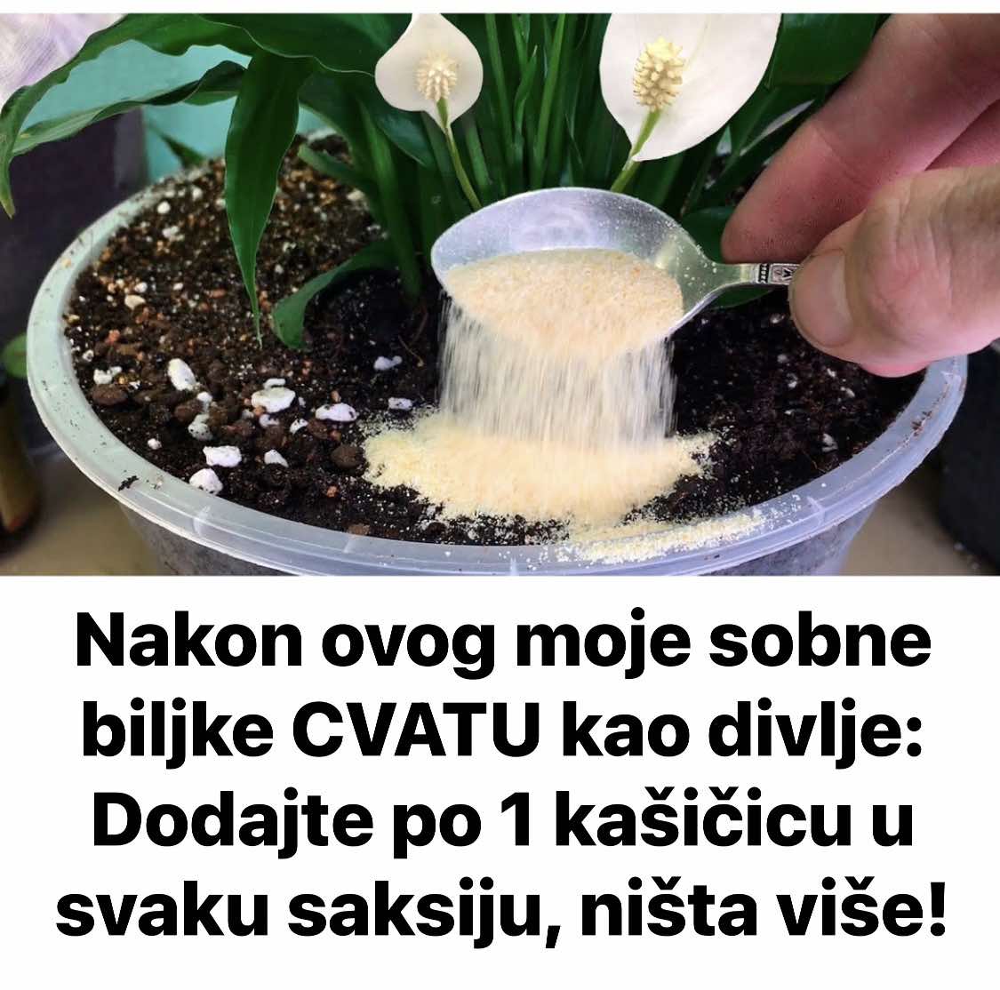 461563276_862058956051657_1015058329768338437_n-1