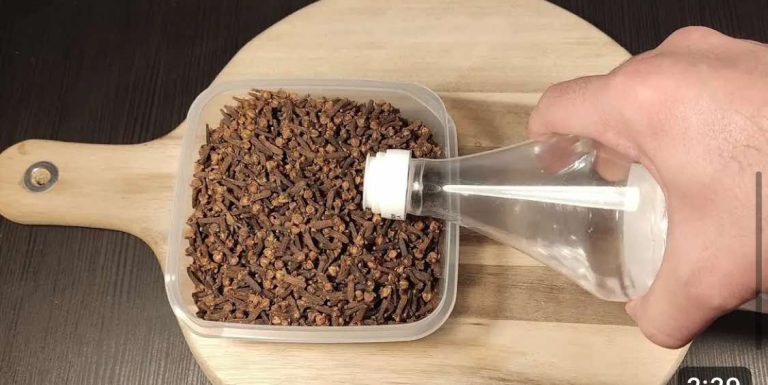 Natočio sam ocat u klinčiće: NADMAŠILO MI JE SVA OČEKIVANJA!