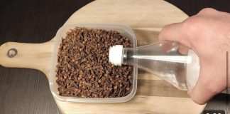 Natočio sam ocat u klinčiće: NADMAŠILO MI JE SVA OČEKIVANJA!