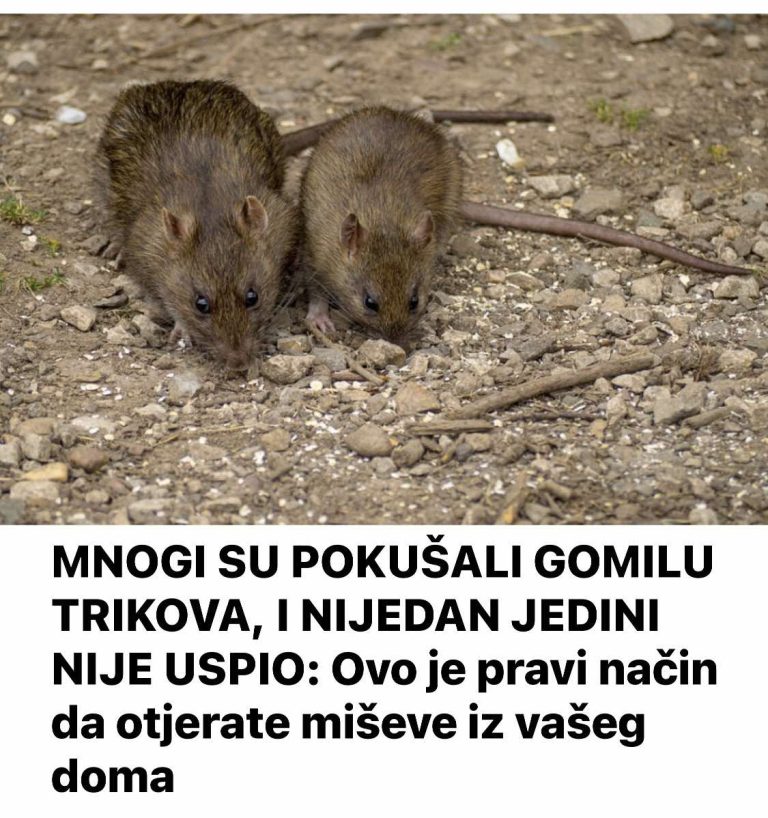 SAVRŠENA KUHINJA OD ALUMINIJA – kuhinja vrhunske elegancije !