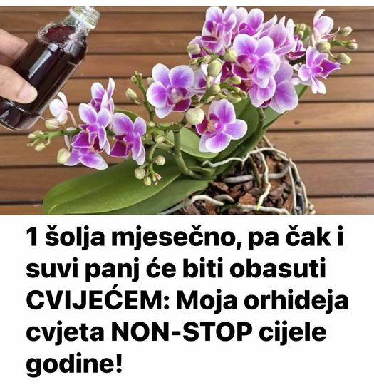 MODERNI KAMINI ZA VAŠ VRT ILI TERASU – poseban način da učinite vaš program jedinstvenim!