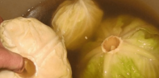 Nipošto ne jedite kiseli kupus ako bolujete od ove bolesti: Oprez, sad je važno da znate!