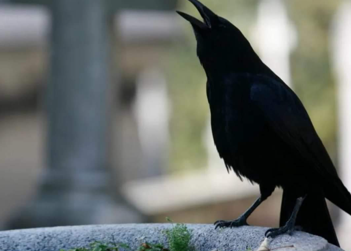 SIGNALI KOJE PREMINULE OSOBE ŠALJU: Poznati medij tvrdi da je to ZNAK da su tu i da nam žele nešto poručiti