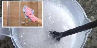 Više ne moram da se nosim sa PLESNOM, mrljama ili osušenim kapima na tuš kadi: Čudo od moje snaje – 5 minuta i moj dom je sjajan kao munja!