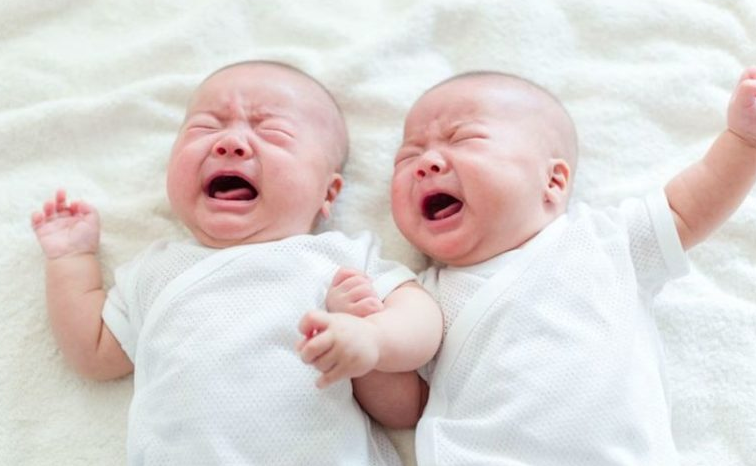 Screenshot-2024-10-03-115703-1