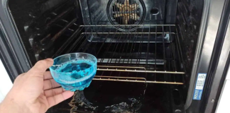 Jeste li znali da MOŽETE bez napora očistiti masnu i prljavu pećnicu za 5 minuta?