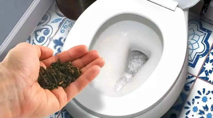 Zbogom bakterije i SMRAD u toaletu: Ostat će čist i mirisan i potpuno BEZ KEMIKALIJA!