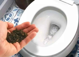 Zbogom bakterije i SMRAD u toaletu: Ostat će čist i mirisan i potpuno BEZ KEMIKALIJA!