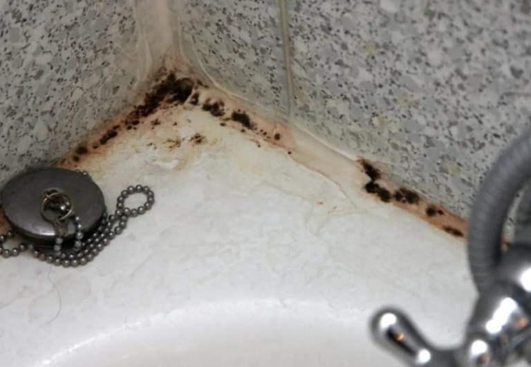 ZABORAVITE SODU BIKARBONU I SIRĆE: Jedna namirnica koju već imate u kući čini da kamenac nestane duplo brže, TOPI ČAK I RĐU