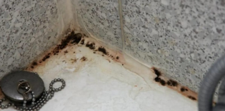 ZABORAVITE SODU BIKARBONU I SIRĆE: Jedna namirnica koju već imate u kući čini da kamenac nestane duplo brže, TOPI ČAK I RĐU