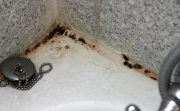 ZABORAVITE SODU BIKARBONU I SIRĆE: Jedna namirnica koju već imate u kući čini da kamenac nestane duplo brže, TOPI ČAK I RĐU