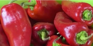 NIKAD NE BACAJTE PETELJKE OD PAPRIKA: KADA ČUJETE ZA ŠTA SU K0RISNE, SKUPLJAT ĆETE IH U KUĆI
