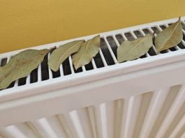 Moja baka stavlja lovorov list na radijator u spavaćoj sobi: Otkloniće ovaj PROBLEM u vašem domu!