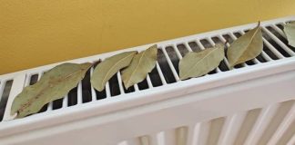 Moja baka stavlja lovorov list na radijator u spavaćoj sobi: Otkloniće ovaj PROBLEM u vašem domu!