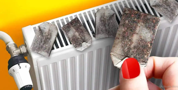 Kada pravite čaj, ne bacajte ove KESE: SAM0 ih stavite na RADIJATOR i ostavite tamo, svi bi trebali znati za učinak!