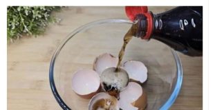 Uzmite ljuske od jaja, običnu KOLU i sačuvajte ovaj domaći trik: Koristim ga godinama i preporučujem svima