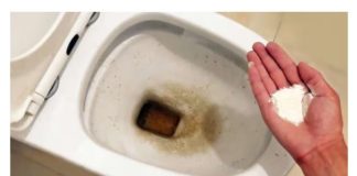 Zaboravite OCAT: Ovaj puder iz kuhinje čisti toalet dok čekate – bez kamenca, žutih mrlja i mirisa!