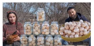 Jaja ostaju SVJEŽA cijelu godinu i ne kvare se: To su već znali naši djedovi i bake!