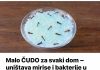 Malo ČUDO za svaki dom – uništava mirise i bakterije u zraku: Samo pomiješajte 4 sastojka i nećete ni pogledati skupe osvježivače zraka!