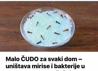 Malo ČUDO za svaki dom – uništava mirise i bakterije u zraku: Samo pomiješajte 4 sastojka i nećete ni pogledati skupe osvježivače zraka!