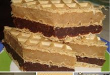 GOTOVE ZA SAMO 10 MINUTA….ČOKOLADNE OBLANDE PO BAKINOM RECEPTU