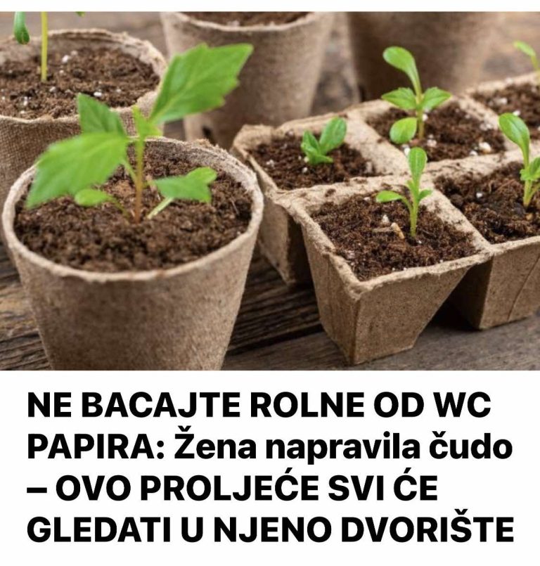 NE BACAJTE ROLNE OD WC PAPIRA: Žena napravila čudo – OVO PROLJEĆE SVI ĆE GLEDATI U NJENO DVORIŠTE