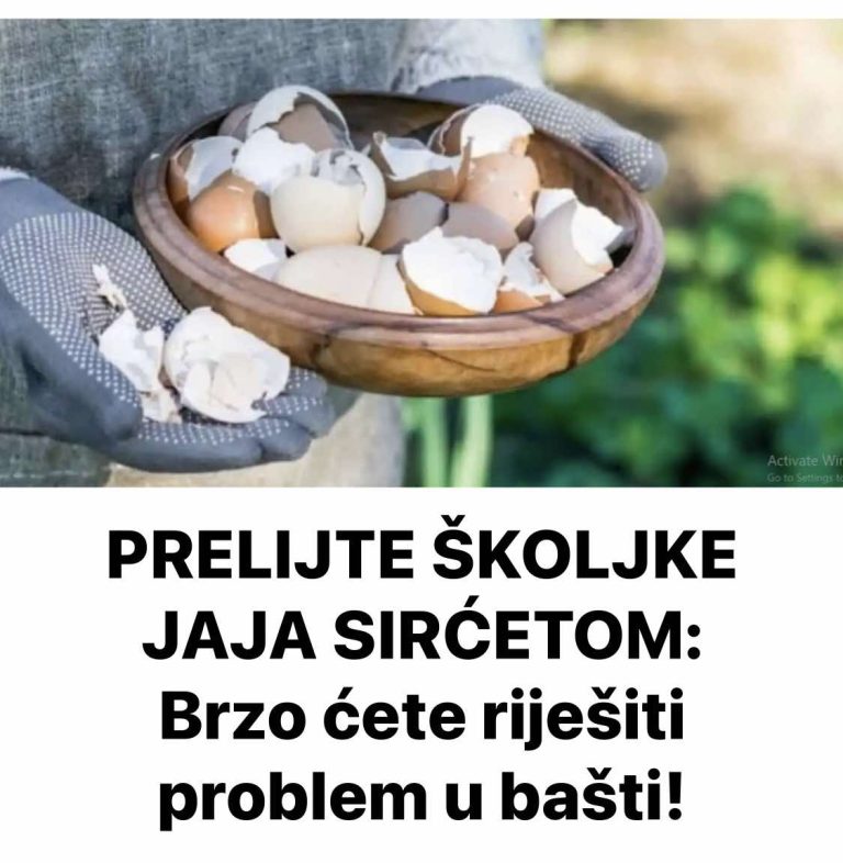 PRELIJTE ŠKOLJKE JAJA SIRĆETOM: Brzo ćete riješiti problem u bašti!