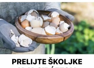 PRELIJTE ŠKOLJKE JAJA SIRĆETOM: Brzo ćete riješiti problem u bašti!