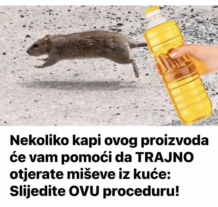 Nekoliko kapi ovog proizvoda će vam pomoći da TRAJNO otjerate miševe iz kuće: Slijedite OVU proceduru!