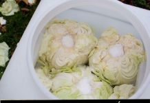 TRIK ISKUSNIH DOMAĆICA: Imaćete najbolji kiseli kupus ako bure prekrijete ovim