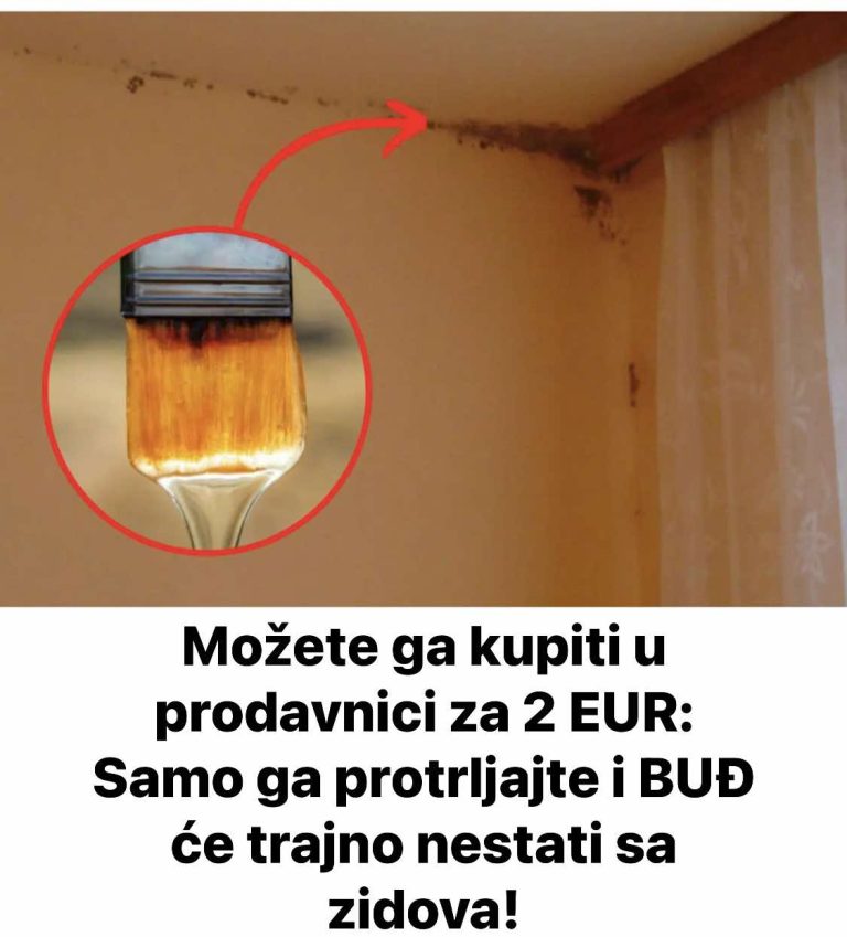 Možete ga kupiti u prodavnici za 2 EUR: Samo ga protrljajte i BUĐ će trajno nestati sa zidova!