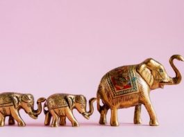 U KUĆU SAM UNIJELA 1 PREDMET, SREĆA JE KONAČNO ZAKUCALA NA MOJA VRATA: Ovo privlači zdravlje, uspjeh, BLAGOSTANJE