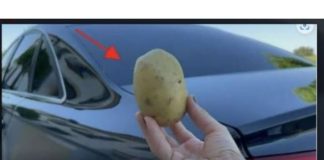 Imati 1 krompir u autu može vam spasiti život i niko vam to neće reći!