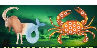 Zaslužena sreća stiže: Ovi horoskopski znaci će doživeti čaroliju dobrih dela!