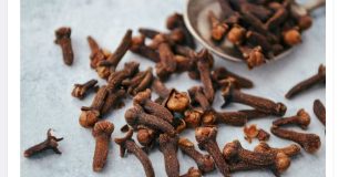 TO JE RAZL0G ZAŠTO SAM POČEO ŽVAKATI KLINČIĆE SVAKI DAN: MORAM ZAHVALITI MAJČINOJ LJEKARNICI NA OVOM SJAJNOM SAVJETU