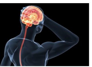 Evo kako spasiti nekoga tko ima moždani udar: potrebna vam je samo jedna stvar