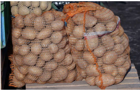 Deda ga je uvijek bacao u kesu sa krompirom i izdržali su do sledeće berbe: Ni jedan nije proklijao!