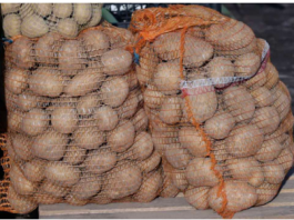 Deda ga je uvijek bacao u kesu sa krompirom i izdržali su do sledeće berbe: Ni jedan nije proklijao!