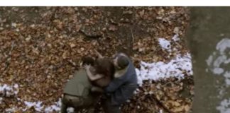 Divlje dijete nađeno u šumama Bosne i Hercegovine: Zbog Harisove sudbine boli duša, a jedna stvar ostaje misterija