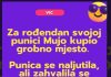 VIC DANA: Mujo i svekrva