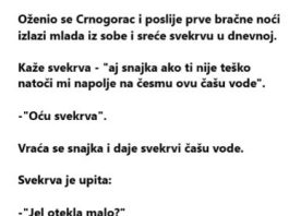 VIC DANA: Snajka i svekrva