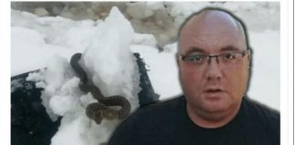 Zmije ispuzale usred zime! Narod vjeruje da ovo nije dobar znak, a poznati zmijolovac upozorava – Dobro obratite pažnju (Foto)