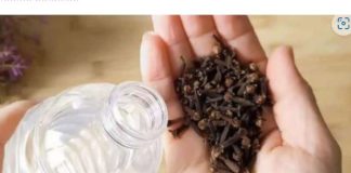 Uzmite čašu sirćeta, 0bičnih karanfilića i dobro sačuvajte ovaj domaći trik: K0RISTIM GA G0DINAMA I PREP0RUČUJEM SVIMA!