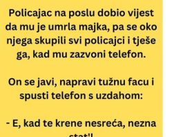 VIC DANA: Policajac na poslu