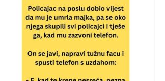 VIC DANA: Policajac na poslu