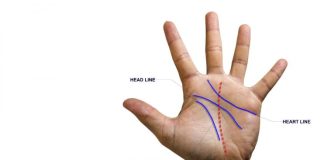 Samo POSEBNI ljudi imaju ovu liniju: Nećete vjerovati što ona znači!