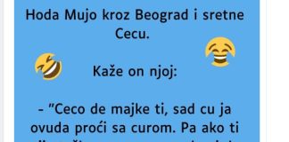VIC: Mujo sretne Cecu